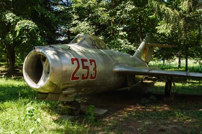 Romanian Air Force, Bacau