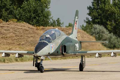 Romanian Air ForceBorcea-Fetesti