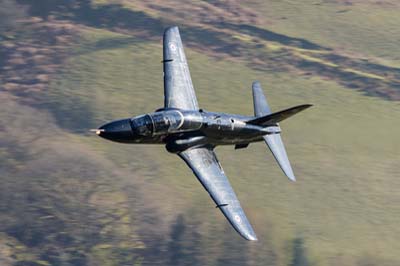 Aviation Photography RAF 208 Squadron