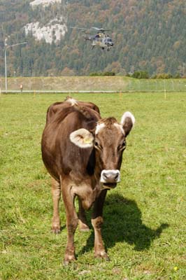 Swiss Air Force base Meiringen