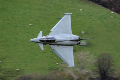 Aviation Photography RAF 29 Squadron