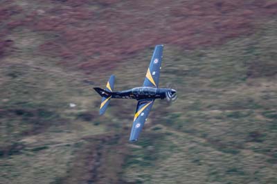 Aviation Photography RAF 72 Squadron