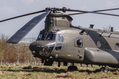 Salisbury Plain Training Area