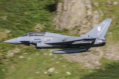 Aviation Photography RAF 29 Squadron