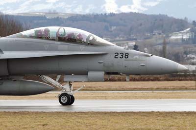 Aviation Photography Payerne F18 Hornet