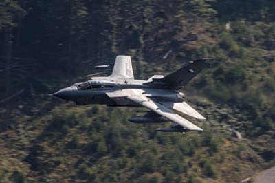 Aviation Photography RAF 31 Squadron