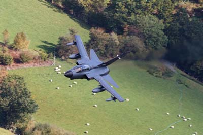 Aviation Photography low level flying