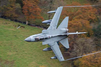 Aviation Photography RAF 2 Squadron