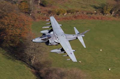 Aviation Photography low level flying