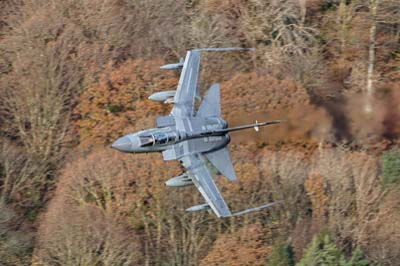 Aviation Photography RAF 13 Squadron