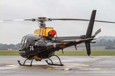 Aviation Photography RAF 60 Squadron