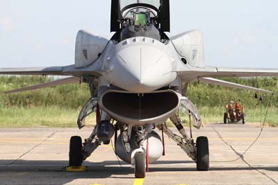 NATO Tiger Meet