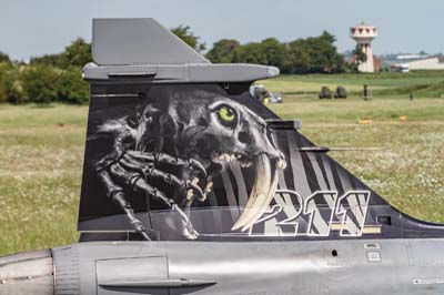 NATO Tiger Meet