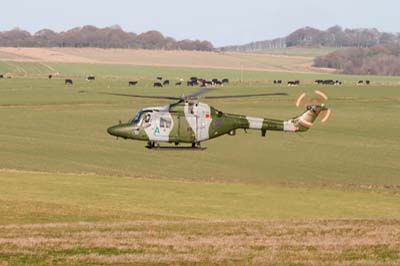 Salisbury Plain Training Area