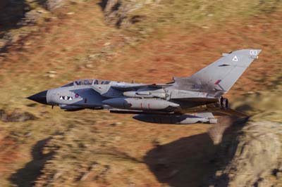 Aviation Photography RAF 2 Squadron