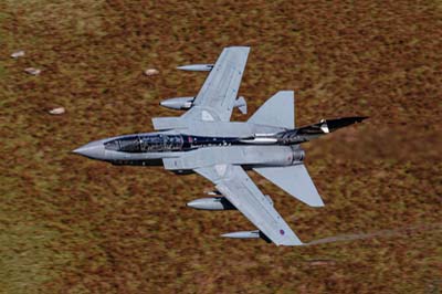 Aviation Photography RAF 2 Squadron