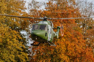 Salisbury Plain Training Area