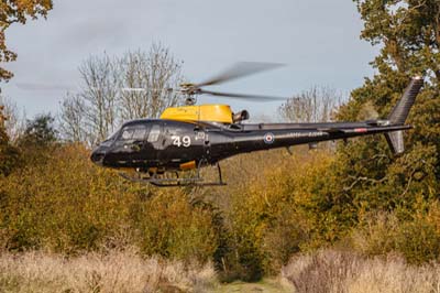 Salisbury Plain Training Area