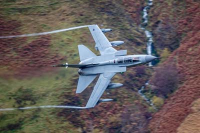 Aviation Photography RAF 41 Squadron