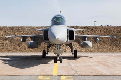 Ronneby Swedish Air Force Gripen