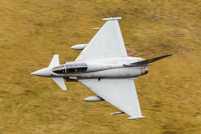 Aviation Photography RAF 29 Squadron