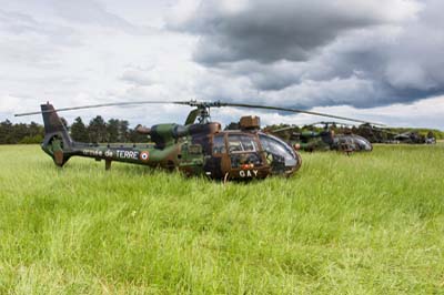 Aviation Lgre de l'Arme de Terre