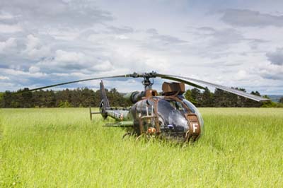 Aviation Lgre de l'Arme de Terre