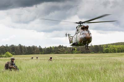 Aviation Lgre de l'Arme de Terre