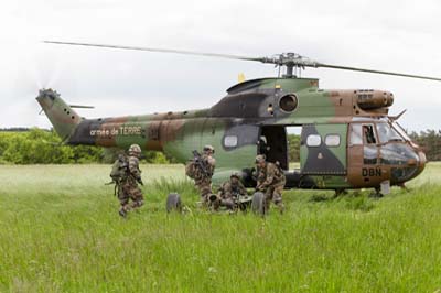 Aviation Lgre de l'Arme de Terre