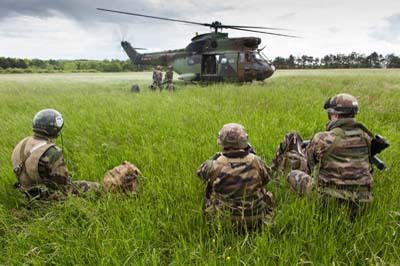 Aviation Lgre de l'Arme de Terre