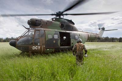 Aviation Lgre de l'Arme de Terre