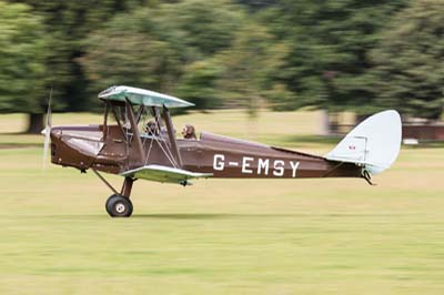 de Havilland Moth Rally