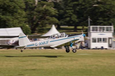 de Havilland Moth Rally