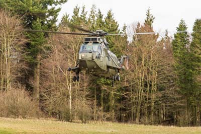 Salisbury Plain Training Area