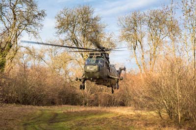 Salisbury Plain Training Area