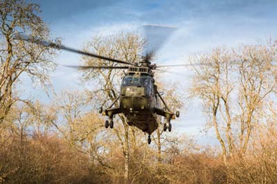 Salisbury Plain Training Area