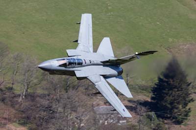 Aviation Photography RAF 12 Squadron