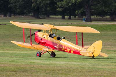 de Havilland Moth Rally