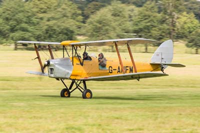 de Havilland Moth Rally