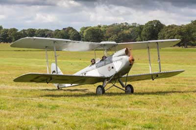 de Havilland Moth Rally