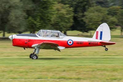 de Havilland Moth Rally