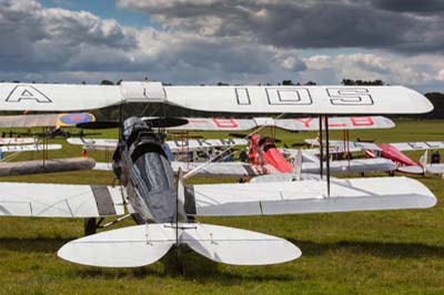 de Havilland Moth Rally