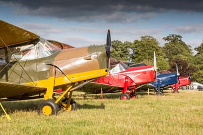 de Havilland Moth Rally