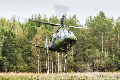 Aviation Photography low level flying