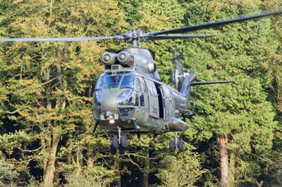 Salisbury Plain Training Area