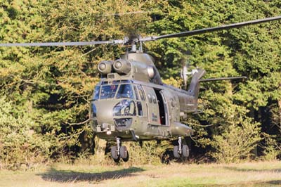 Salisbury Plain Training Area