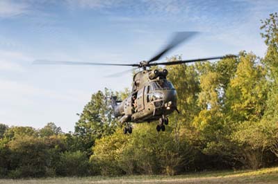 Aviation Photography RAF 33 Squadron