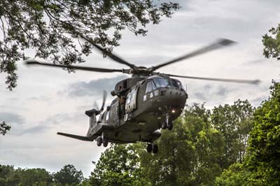 Salisbury Plain Training Area