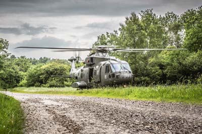 Salisbury Plain Training Area