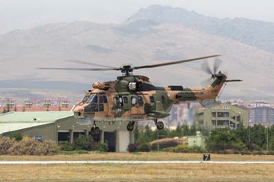 Anatolian Eagle Konya